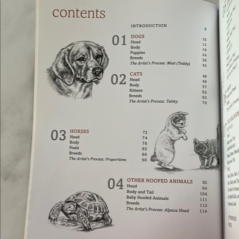 The Artist's Guide to Drawing Animals by J. C. Amberlyn - Picture 4 of 16